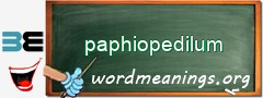 WordMeaning blackboard for paphiopedilum